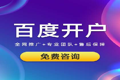 某电商平台的SEM广告投放全流程解析